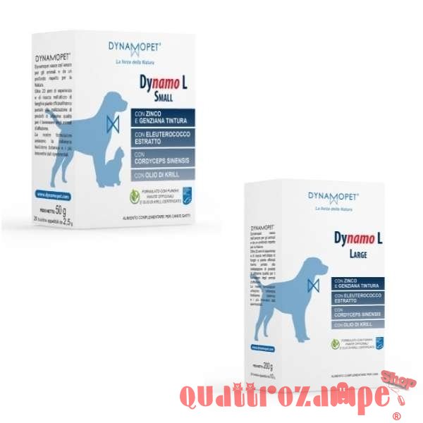 Dinamopet Dynamo L Buste