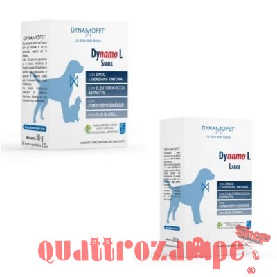 Dinamopet Dynamo L Buste