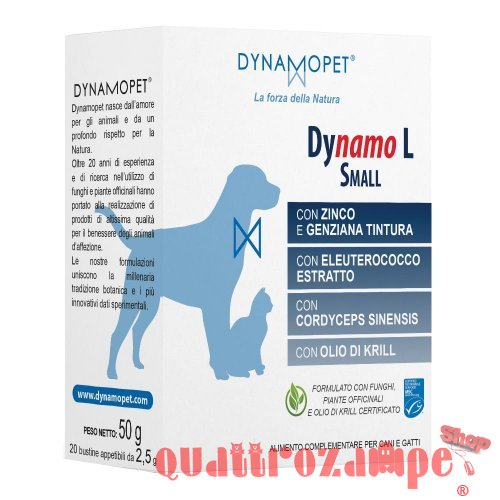 Dinamopet Dynamo L Buste