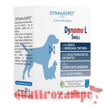 Dinamopet Dynamo L Buste