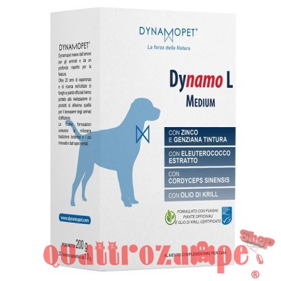 Dinamopet Dynamo L Buste