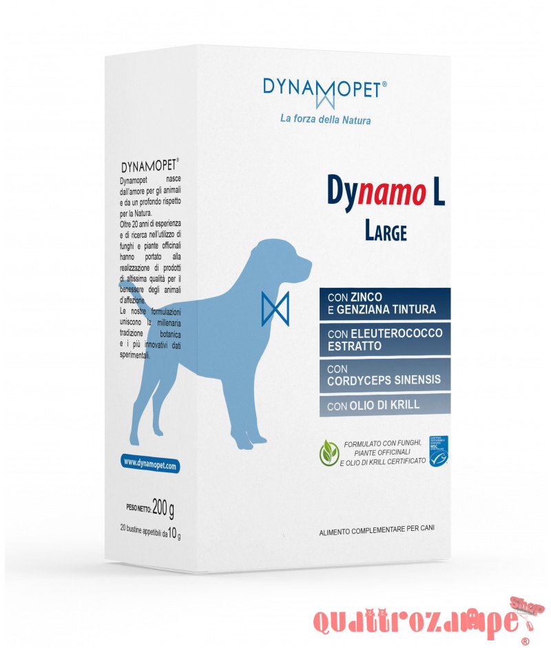 Dinamopet Dynamo L Buste
