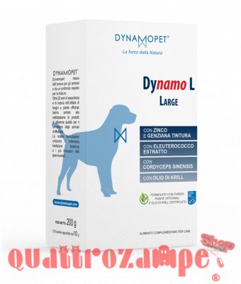 Dinamopet Dynamo L Buste