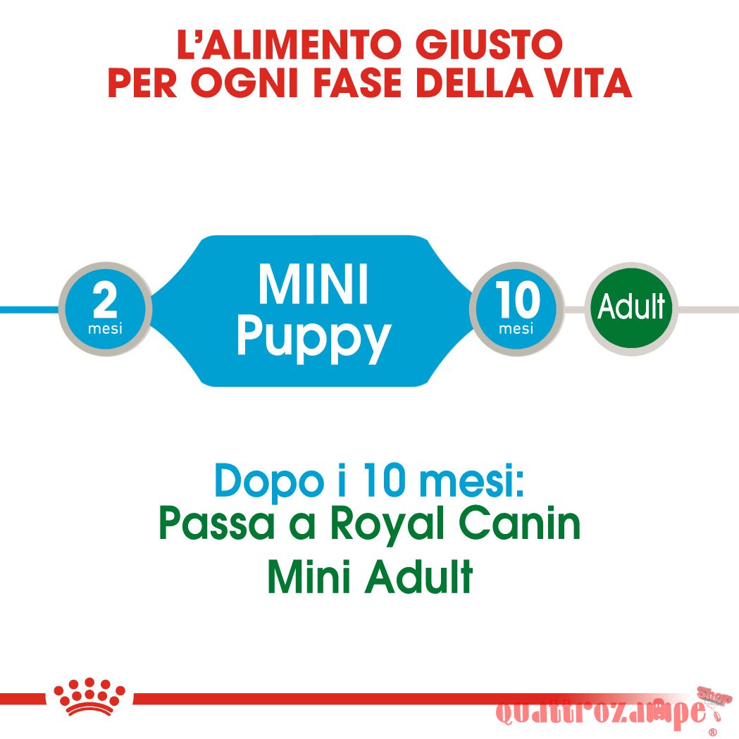 Royal Canin Mini Puppy 85 Gr Busta In Salsa Umido Per Cane