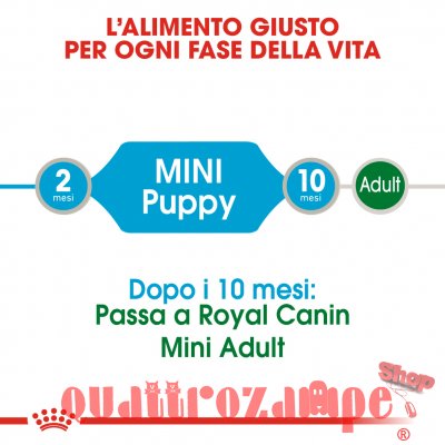 Royal Canin Mini Puppy 85 Gr Busta In Salsa Umido Per Cane