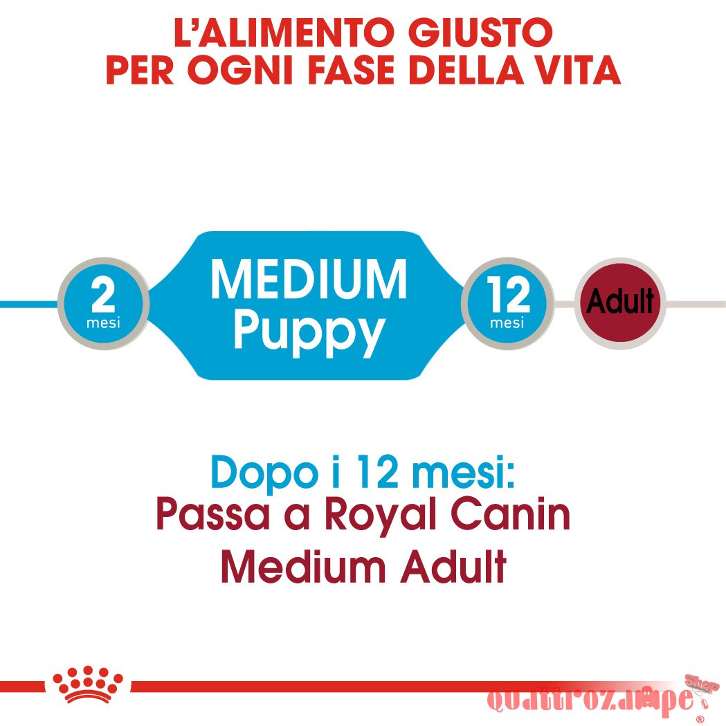 Royal Canin Medium Puppy 140 Gr Busta In Salsa Umido Per Cane