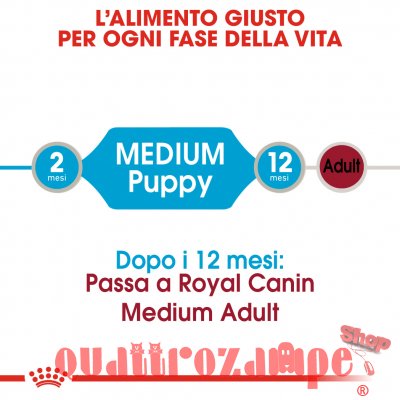 Royal Canin Medium Puppy 140 Gr Busta In Salsa Umido Per Cane