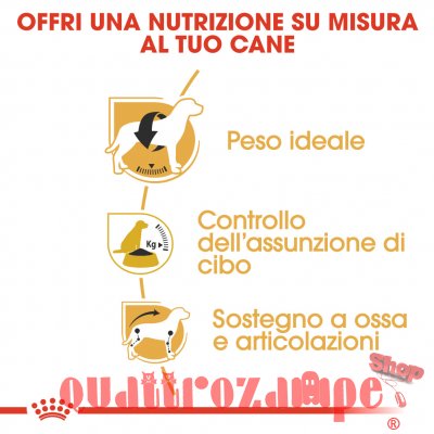 Royal Canin Beagle Adult