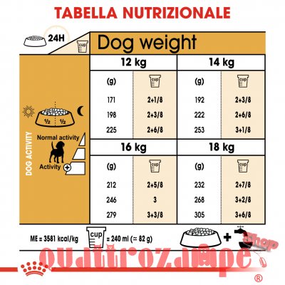 Royal Canin Beagle Adult