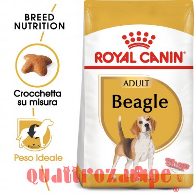 Royal Canin Beagle Adult