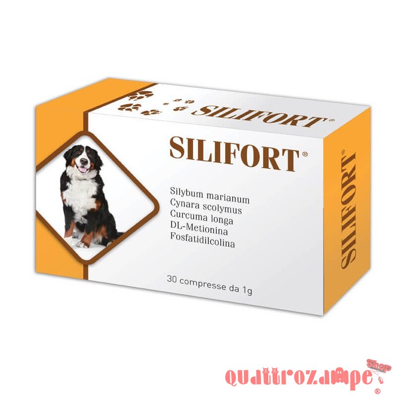 Aurora Biofama Silifort 30 Compresse 1 gr