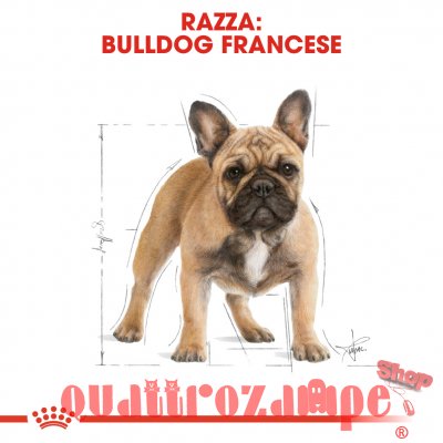 Royal Canin Bulldog Francese Adult 9 kg