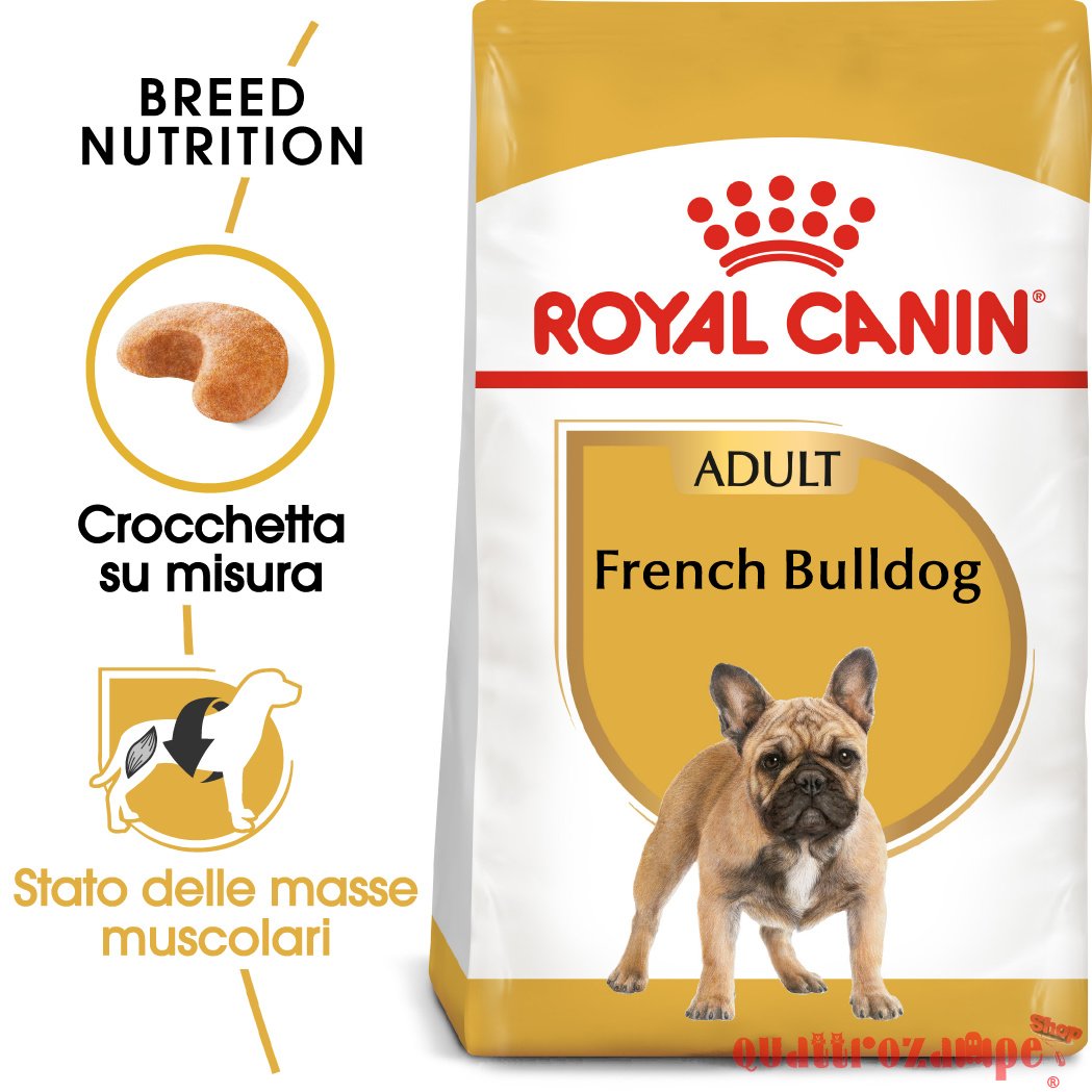 Royal Canin Bulldog Francese Adult 9 kg