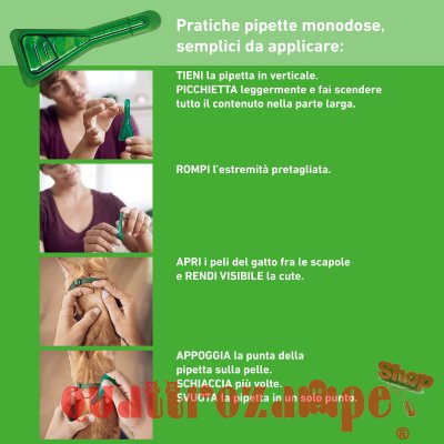 Frontline Combo Per Gatto