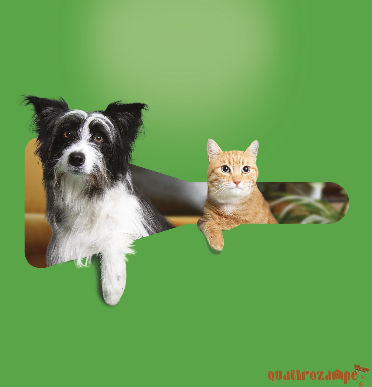 Frontline Combo Per Gatto