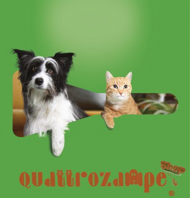 Frontline Combo Per Gatto