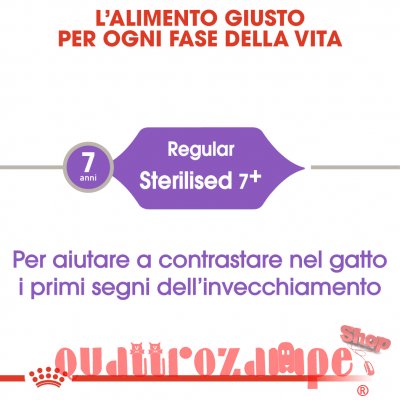Royal Canin Sterilised 7+ Cibo Per Gatto Sterilizzato