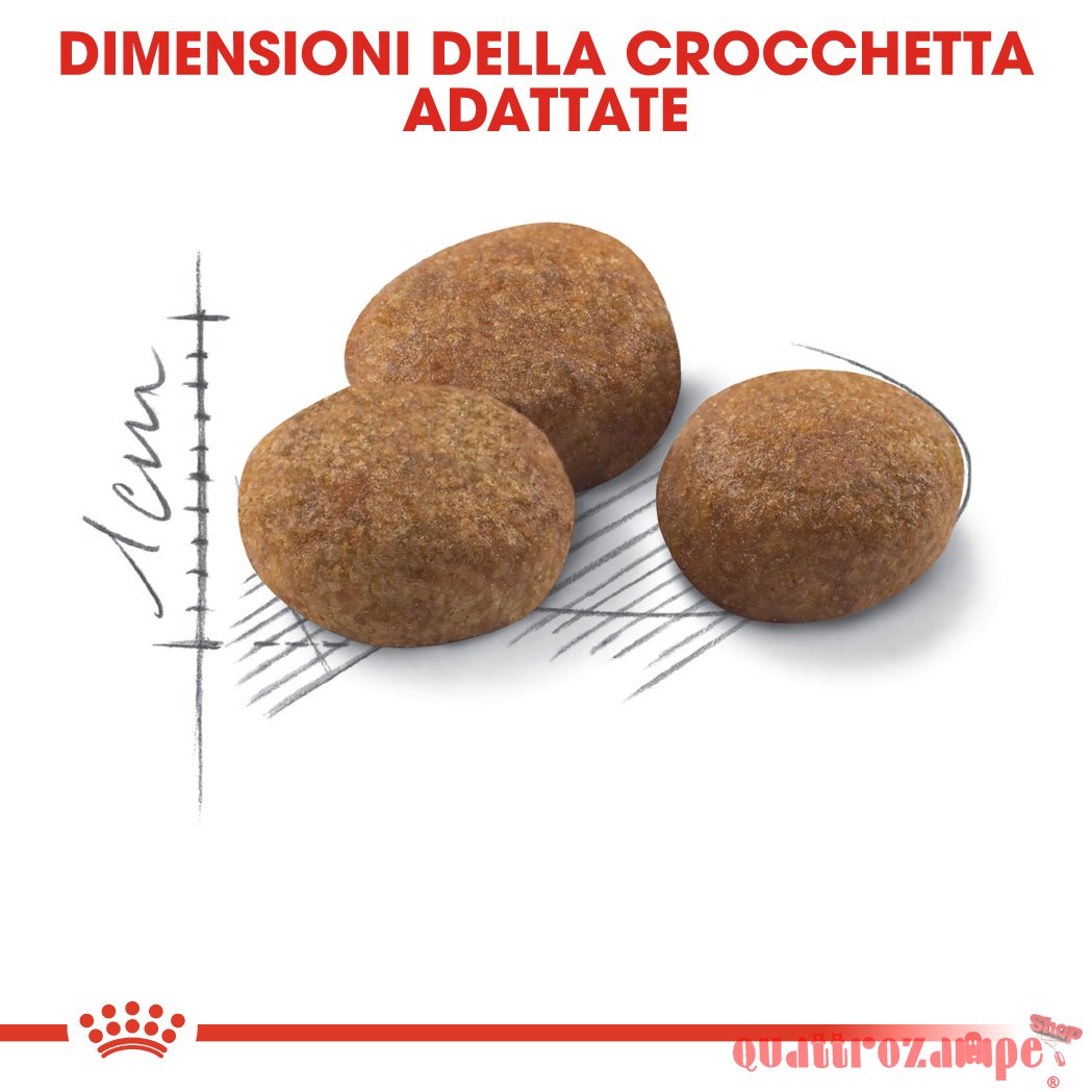 Royal Canin Sterilised 7+ Cibo Per Gatto Sterilizzato