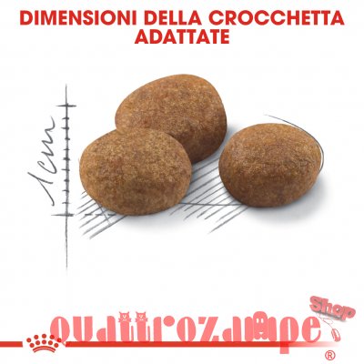 Royal Canin Sterilised 7+ Cibo Per Gatto Sterilizzato
