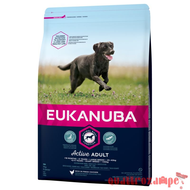 Eukanuba Active Adult Large Breed Pollo 12 kg (ex formato 15 kg)