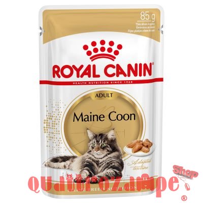 Royal Canin Breed Maine Coon Umido 85 gr Per Gatti