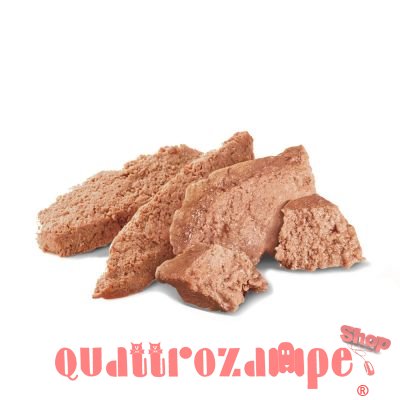 Royal Canin Breed Persian Umido 85 gr Per Gatti