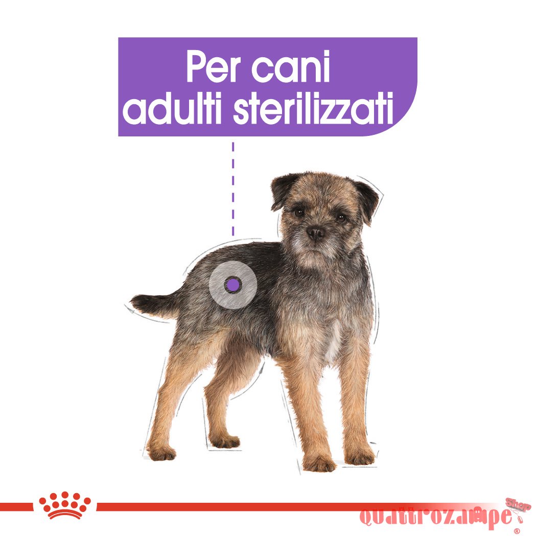 Royal Canin Mini Adult Sterilised Per Cani