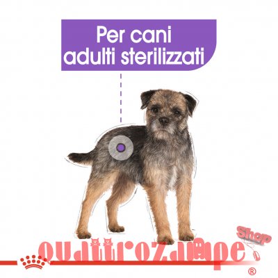 Royal Canin Mini Adult Sterilised Per Cani