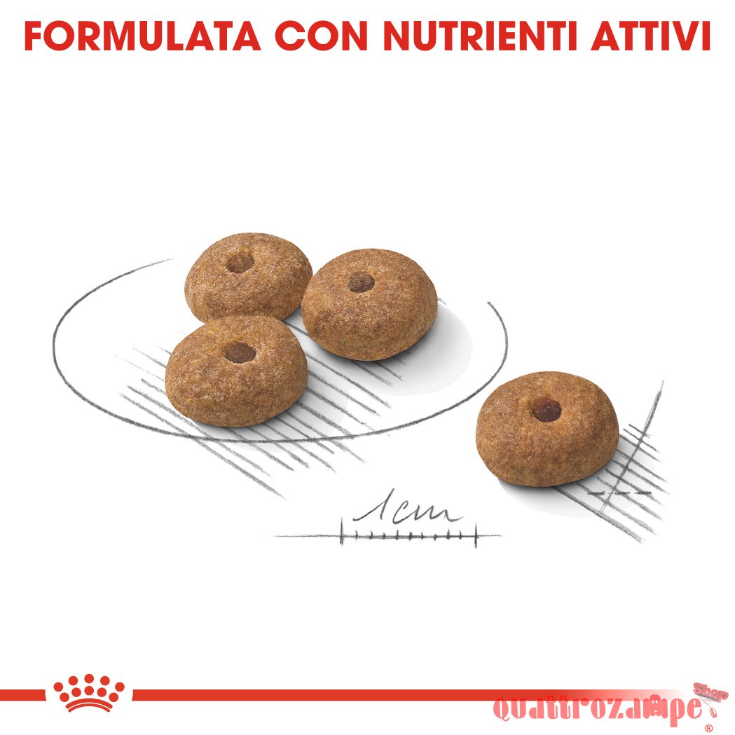 Royal Canin Mini Adult Sterilised Per Cani