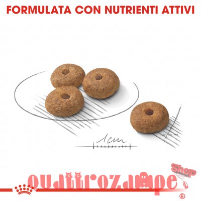 Royal Canin Mini Adult Sterilised Per Cani