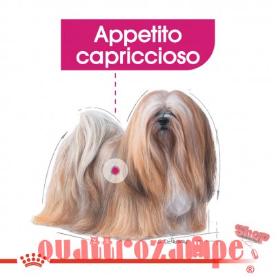 Royal Canin Mini Exigent Per Cani