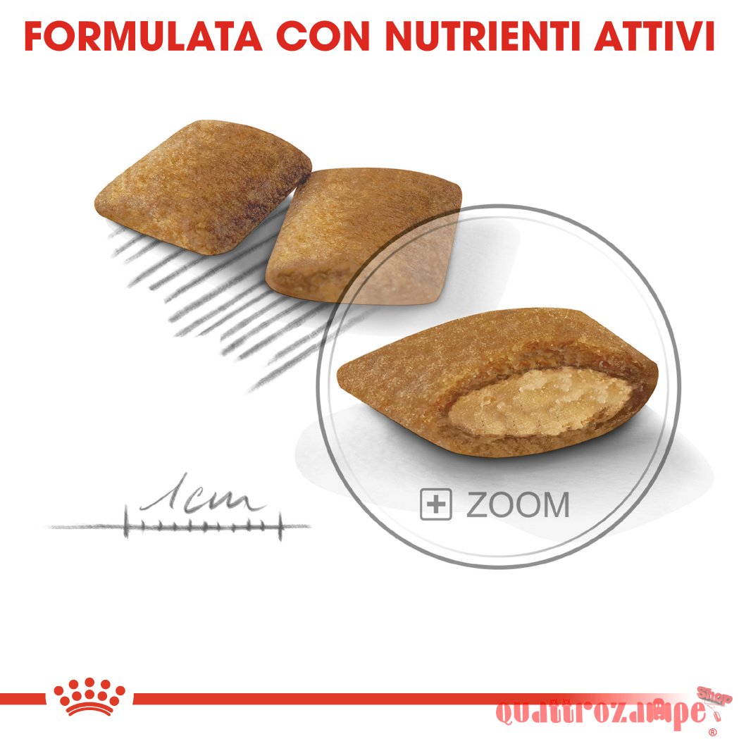 Royal Canin Mini Exigent Per Cani