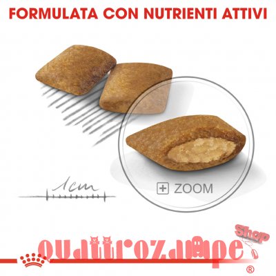 Royal Canin Mini Exigent Per Cani