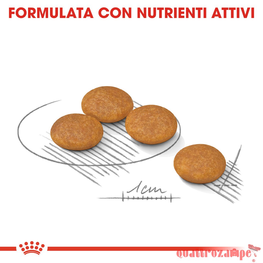 Royal Canin Mini Health Nutrition Dermacomfort