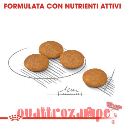 Royal Canin Mini Health Nutrition Dermacomfort
