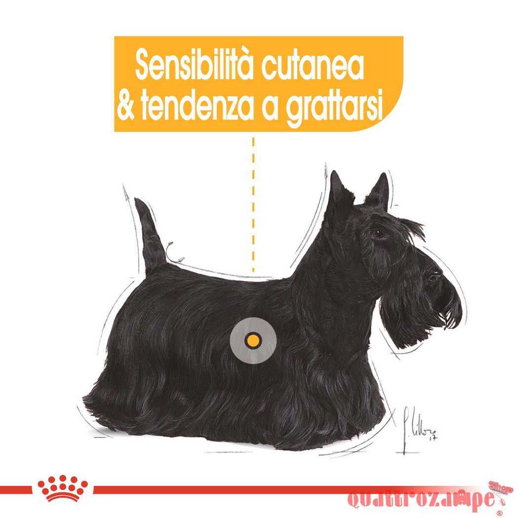 Royal Canin Mini Health Nutrition Dermacomfort