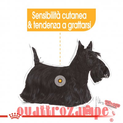 Royal Canin Mini Health Nutrition Dermacomfort