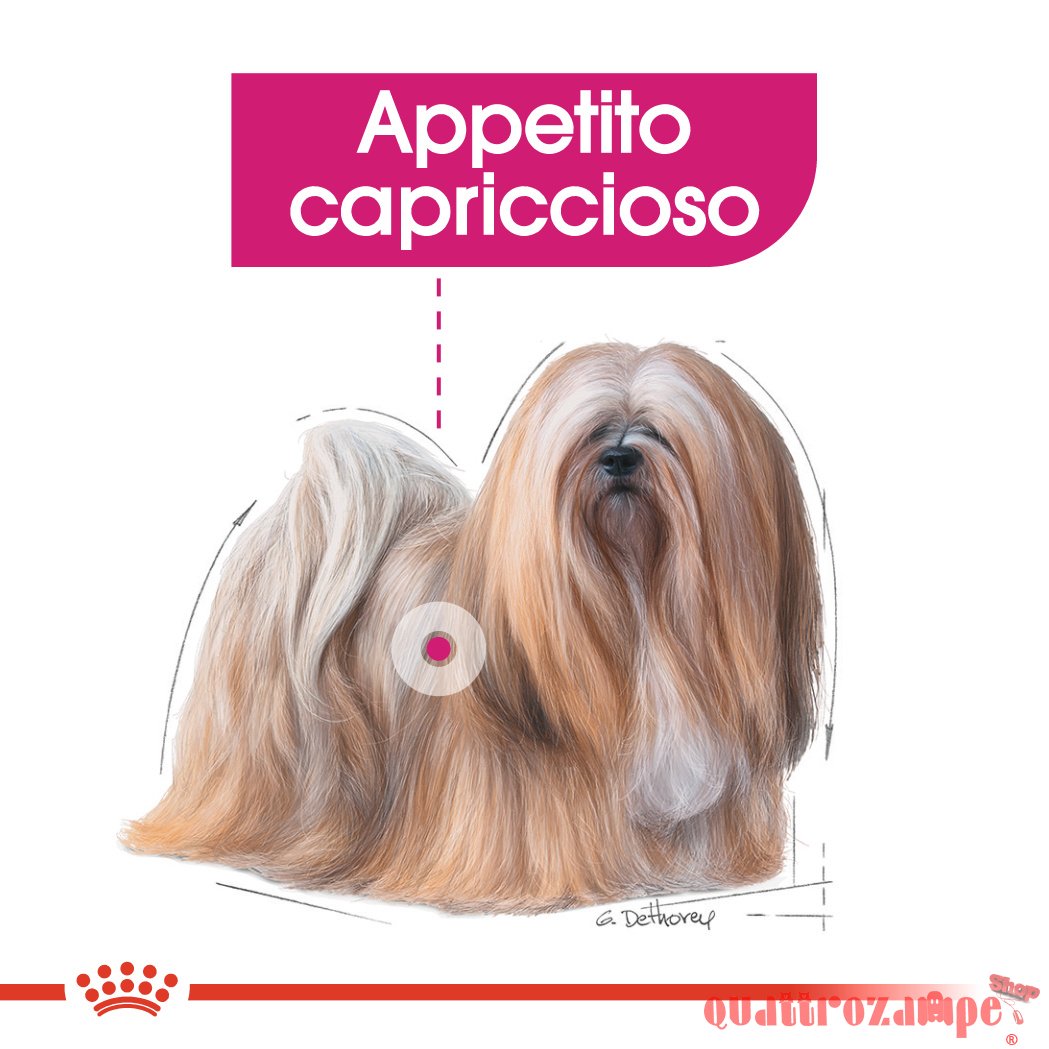 Royal Canin All Sizes Exigent 85 Gr Busta Pate Loaf Umido Per Cane