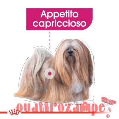 Royal Canin All Sizes Exigent 85 Gr Busta Pate Loaf Umido Per Cane