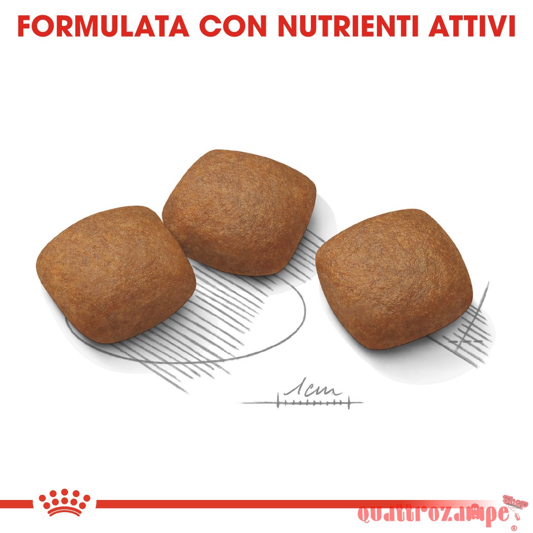 Royal Canin Maxi Joint Care 10 kg Per Cane