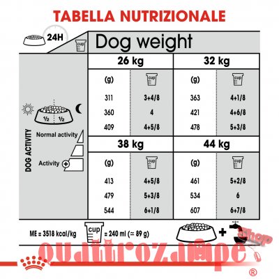 Royal Canin Maxi Joint Care 10 kg Per Cane