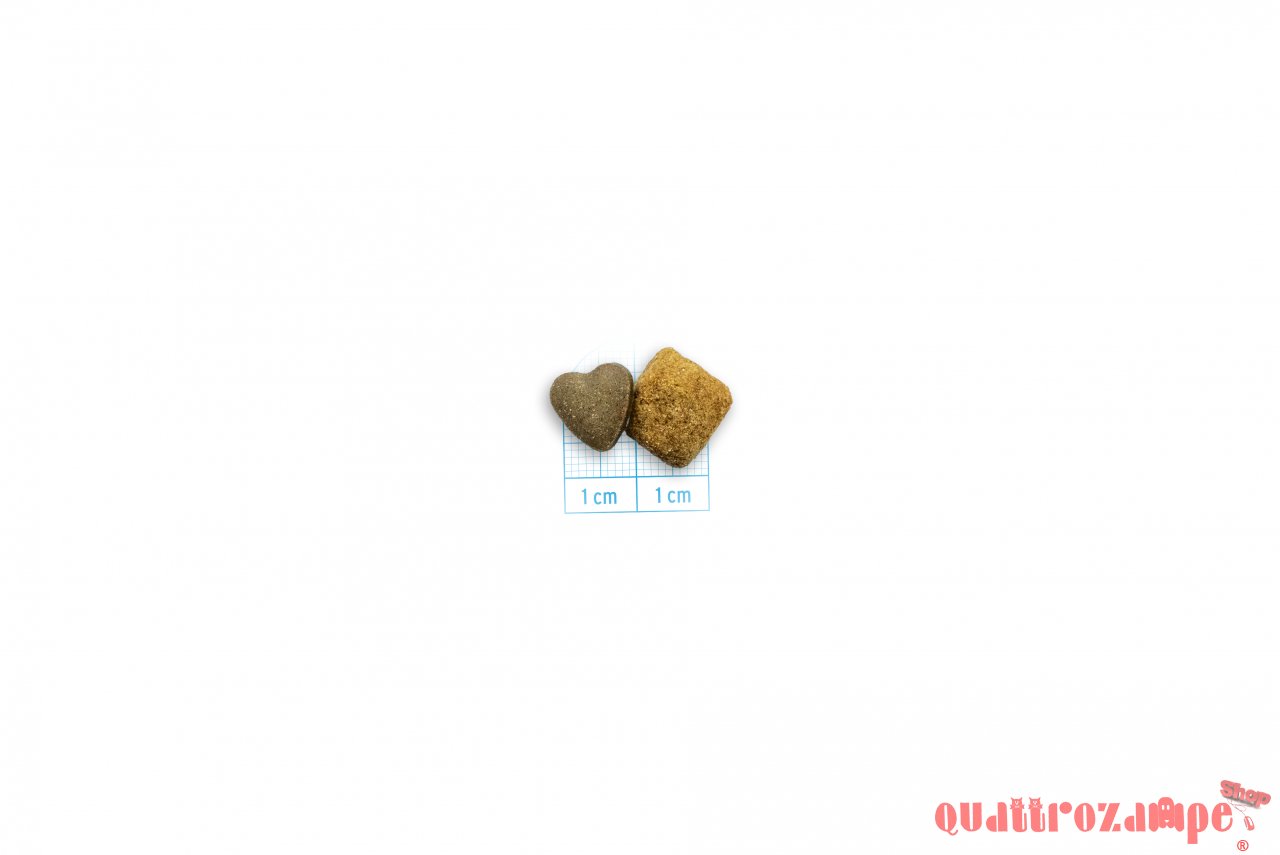 Forza 10 Renal Active Vet Diet 4 kg Per Cane