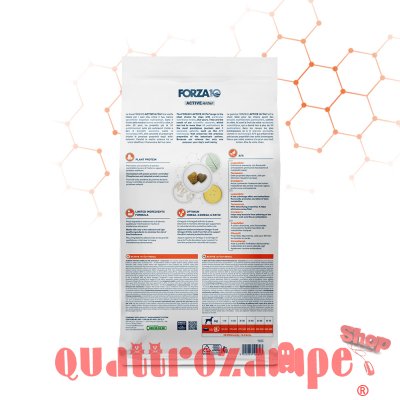 Forza 10 Renal Active Vet Diet 4 kg Per Cane