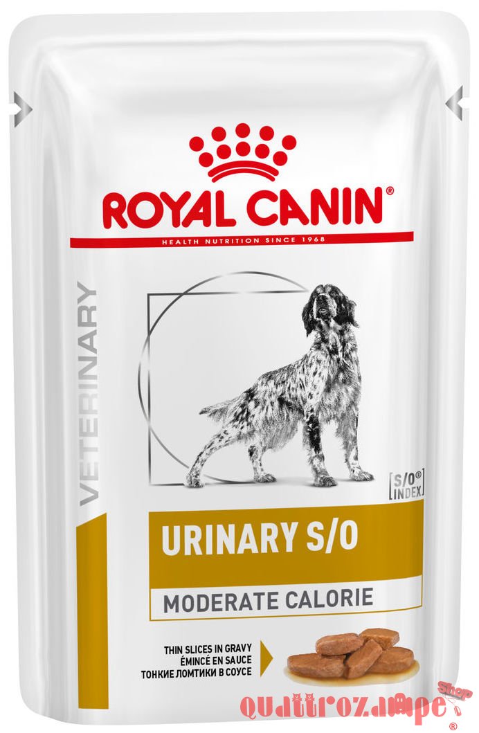 Royal Canin Veterinary Diet Urinary Moderate Calorie 100 gr Busta Umido Cane