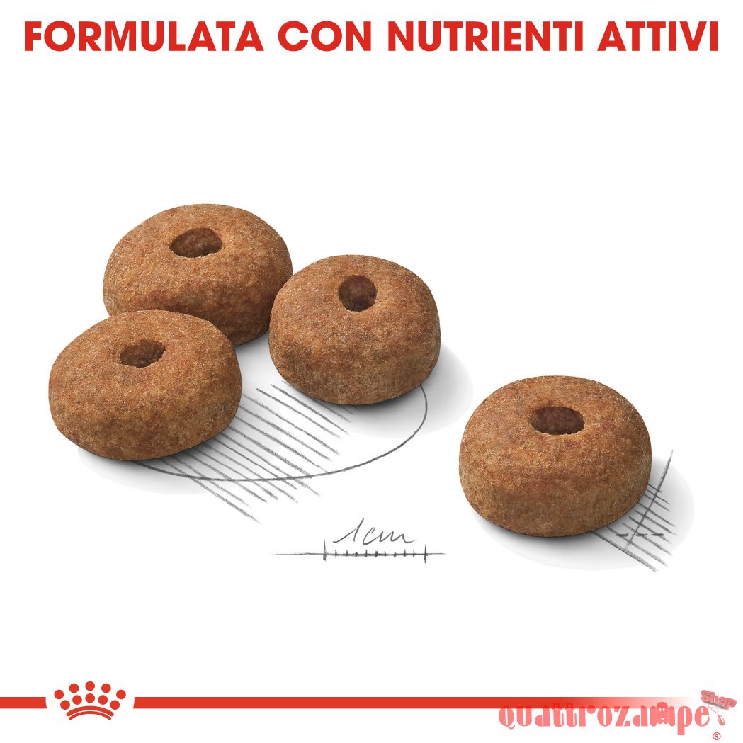 Royal Canin Maxi Sterilised 12 kg Cani