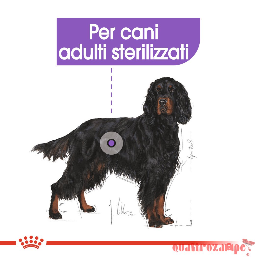 Royal Canin Maxi Sterilised 12 kg Cani