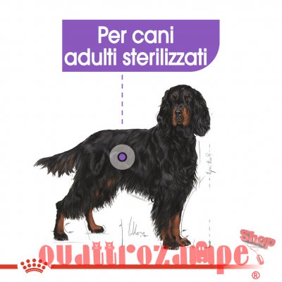 Royal Canin Maxi Sterilised 12 kg Cani