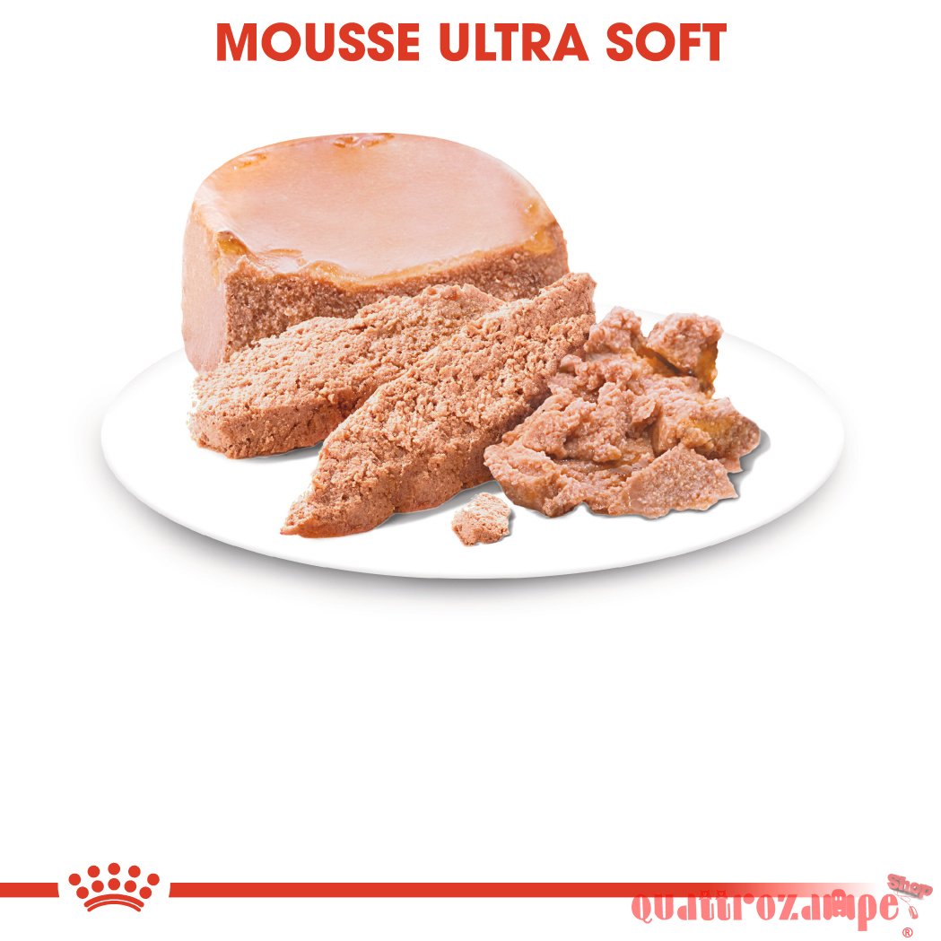 Royal Canin Starter Mousse Mother & Babydog 195 gr Scatoletta Umido Per Cane