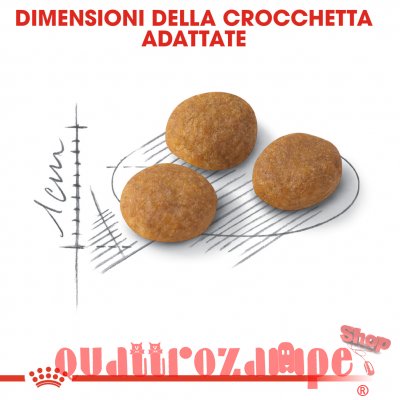 Royal Canin Exigent Aroma Secco Gatto