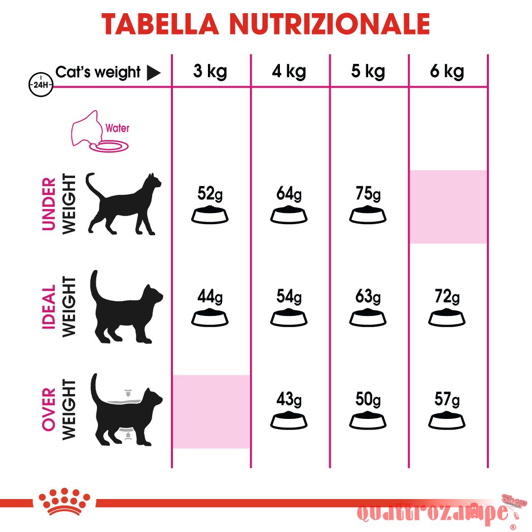 Royal Canin Exigent Aroma Secco Gatto